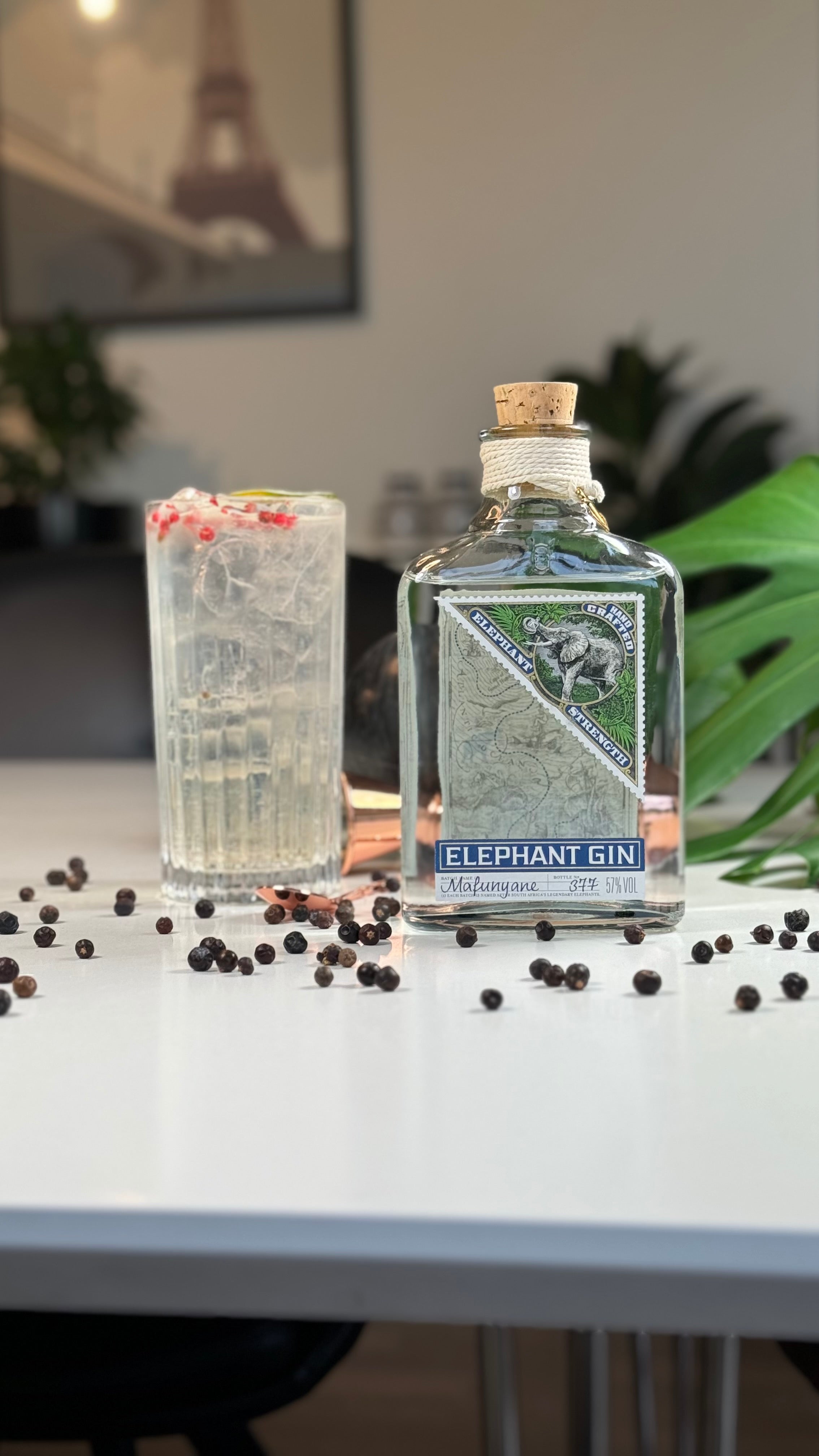 Ginforeveryone anmelder: Elephant Gin Navy Strength
