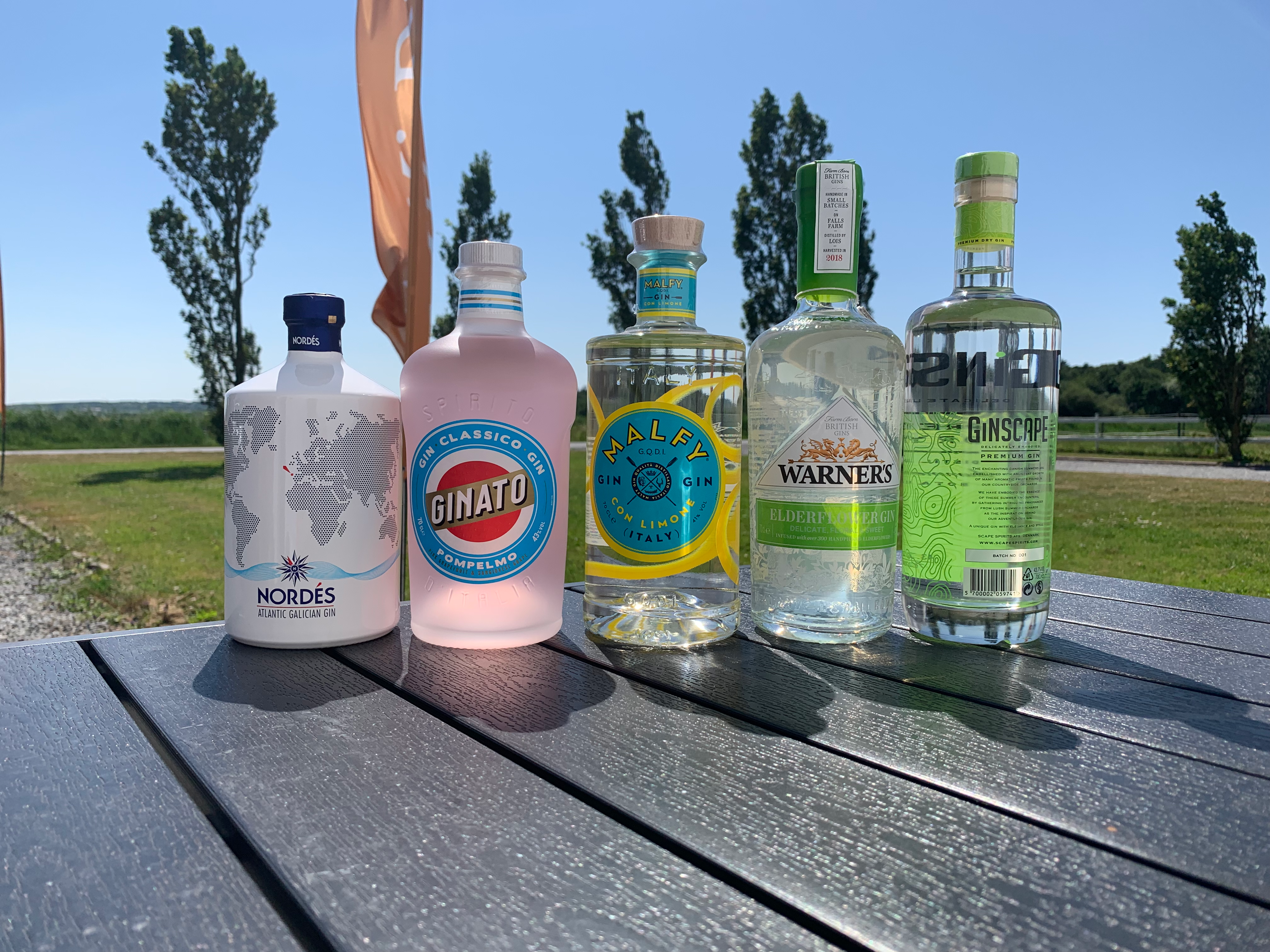 Sommergin: Her er de 5 bedste forslag