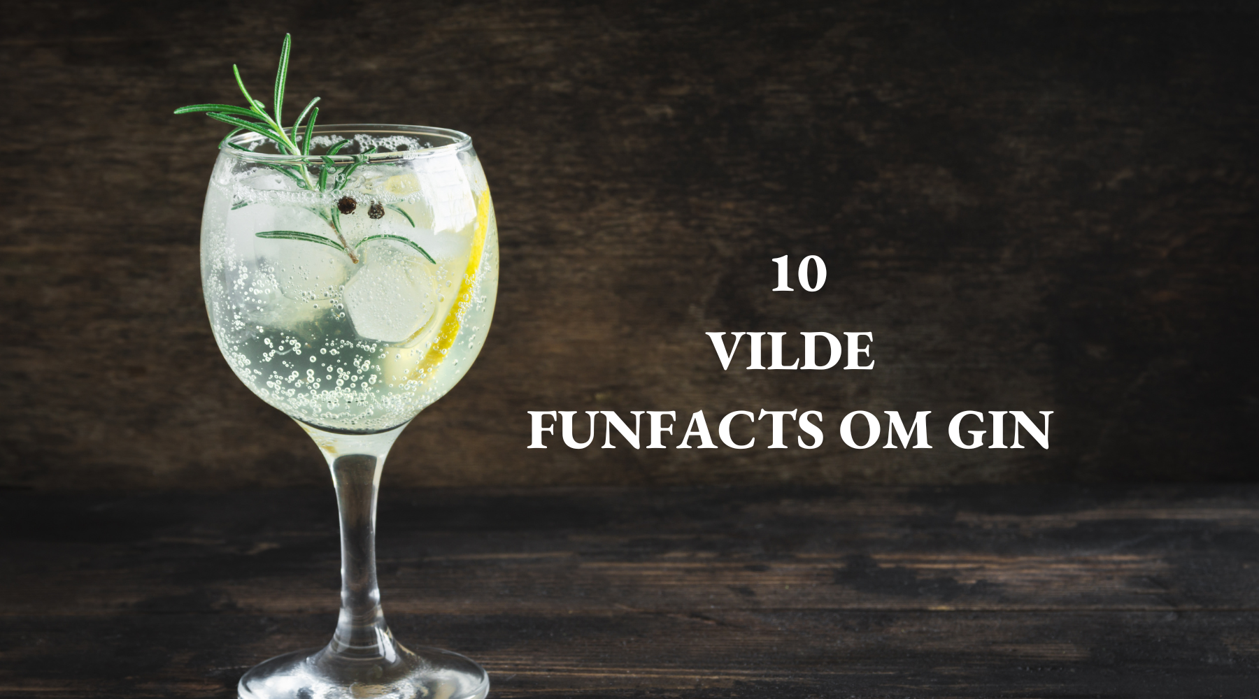 10 fun-facts om gin!