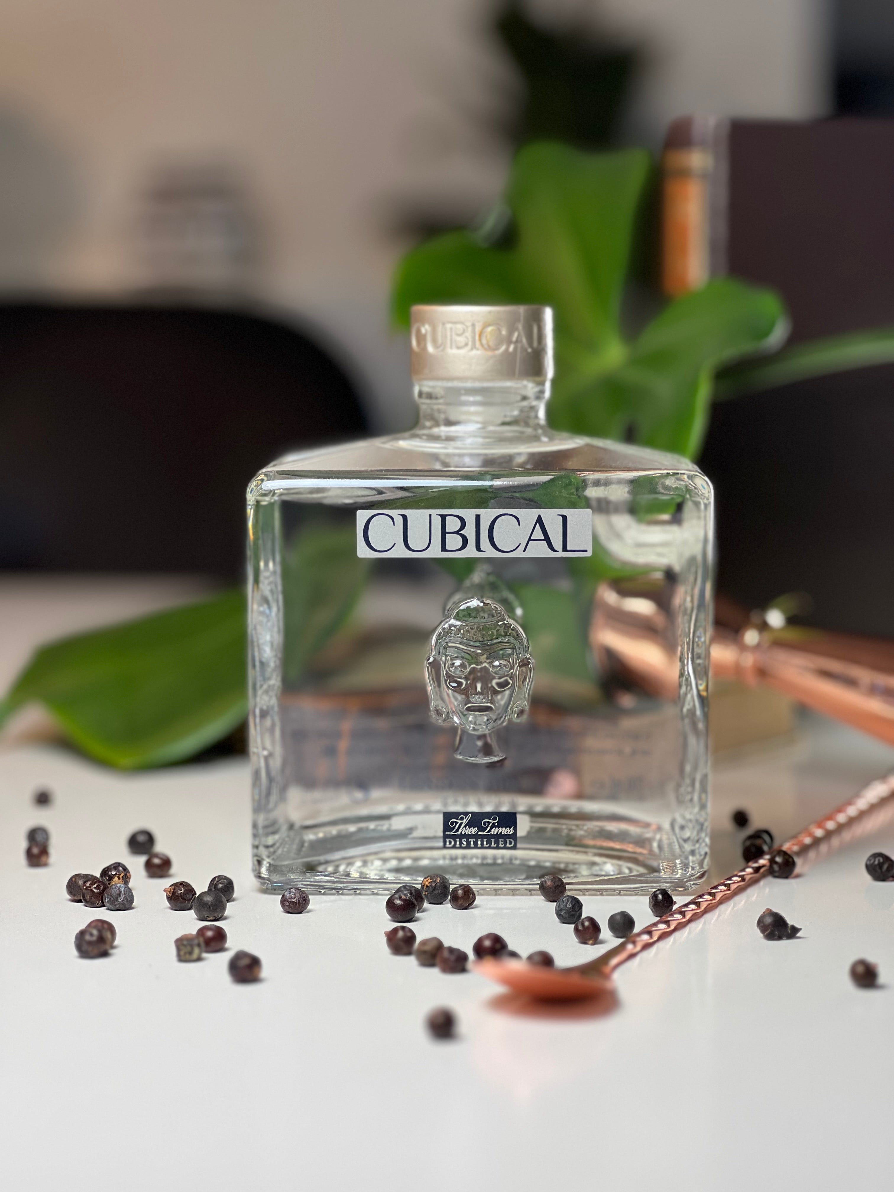 Ginforeveryone anmelder: Cubical Gin